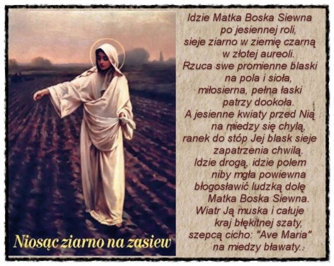 Znalezione obrazy dla zapytania: matka boża siewna obraz