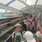 Półkolonie dla ministrantów i scholanek
