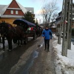 Zimowisko z Zakopanem