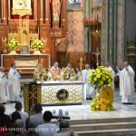 Abp Philippe Curbelie