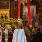 Niedziela Miłosierdzia Bożego 2016